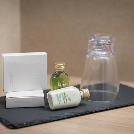 Design Frauenschuh 4* Salzburgo