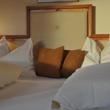 Frauenschuh Garni Hotel Salisburgo